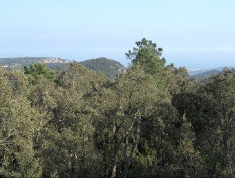 La Roca Rovira, en mig terme, des del cim del puig d'en Ponç. Al fons, el Mas Nou –esquerra– i Sant Feliu –dreta– E.A