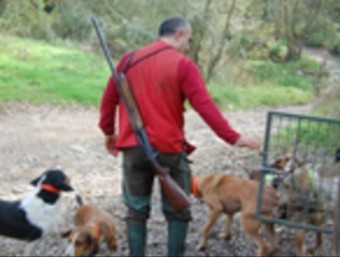 Un caçador amb l'escopeta i els gossos. ARXIUS