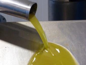Oli d'oliva verge extra, en una imatge d'arxiu EVA POMARES