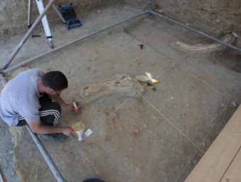 Restes fòssils d'una costella i d'una tíbia d'un mamut de fa més de 700.000 anys que s'han descobert al jaciment de la Boella. JOSÉ CARLOS LEÓN
