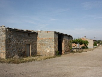 Imatge de l'explotació agrària on han mort un presumpte lladre a Maials ACN