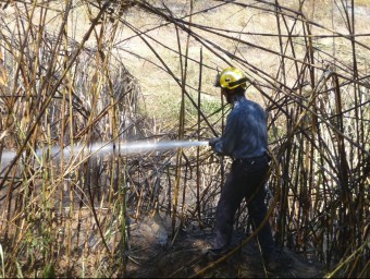 Un bomber remulla les canyes cremades a la riera de Can Matas de Sant Cebrià. T.M