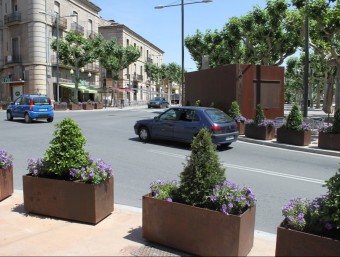L'acusat va arrencar les plantes de la plaça del Carme i ara pagarà els 342 euros de la serva reposició AJUNT. DE TÀRREGA