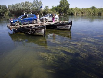 El pas de barca de Miravet envoltat d'algues. JOSÉ CARLOS LEÓN