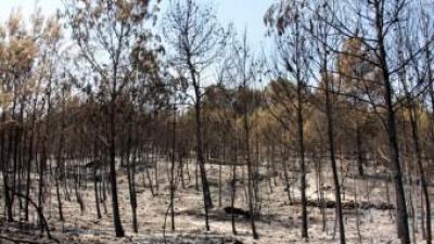 Part de la serra del Motrotón al terme municipal de Iàtova, afectada per les flames de l'incendi de Cortes de Pallars ACN