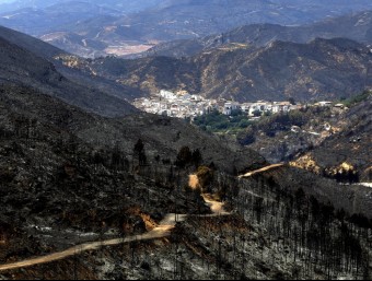 Escenari devastat pel foc de Cortes de Pallars efe