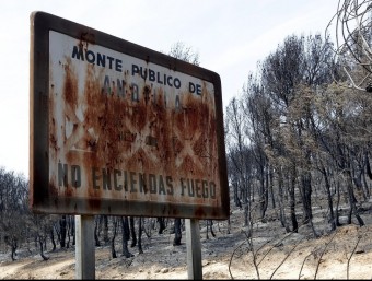 Arbres cremats per l'incendi originat a Andilla EFE
