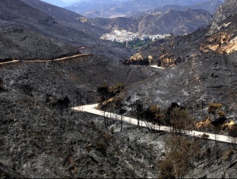 Una de les zones afectades per l'incendi. AGÈNCIES