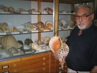 El col·lecionista Enric Mir mostra un dels cargols de mar. JORDI FERRER