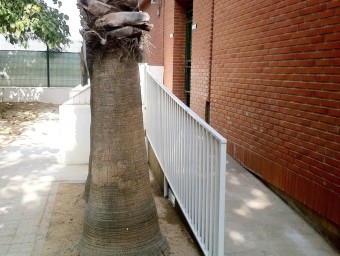 Rampa d'accés construïda a l'escola l'Horta. CEDIDA