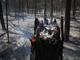 Les flames han cremat 222 hectàrees dels termes de Sant Martí Vell, Madremanya, Flaçà, Mollet i la Pera LLUÍS SERRAT