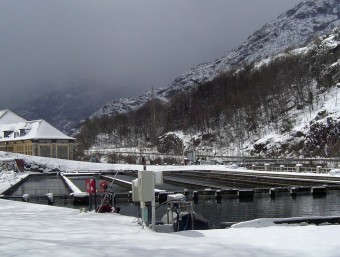 La piscifactoria de Caviar Nacarii a Les, a la Val d'Aran, a on s'hi cria esturió siberià.  L'ECONÒMIC