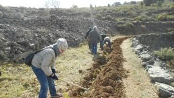 Uns joves participen en la preparació del terreny per a la replantació. EL PUNT AVUI