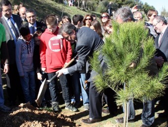 El president de la Generalitat, Artur Mas, plantant un arbre aquest dissabte al parc de Sant Eloi de Tàrrega ACN