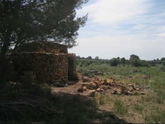 Una barraca de pedra seca propera al sector de les Clotes on es plantejava la creació d'una nova pedrera. E. C