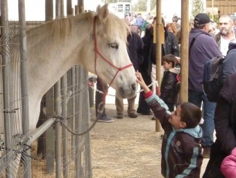 Un cavall i un nen es feien amics a la fira, ahir al matí. R. E
