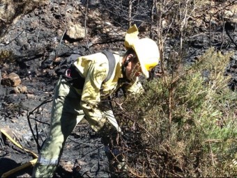 Un brigadista intervé localment l'incendi provocat. EL PUNT AVUI