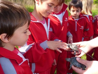 Un grup d'escolars toquen dues tortugues, abans de deixar-les en llibertat. R. E