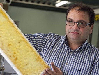 Rafel Muria Martí és la cinquena generació d'apicultors de l'empresa del Perelló.  JOSÉ CARLOS LEÓN