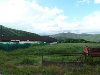 Una detall dels terrenys del costat de la plata de compostatge i la depuradora on s'amplia el polígon industrial de la Canya, que és on s'ha de construir la nova planta de lixiviats. J.C