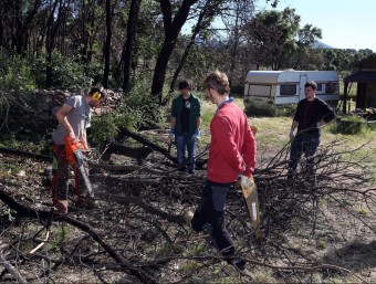 Els joves escoltes van serrar i recollir restes d'arbres cremats durant tot el matí d'ahir en els terrenys de sis famílies de Capmany. JOAN CASTRO /ICONNA