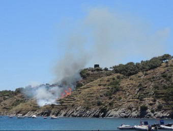 L'incendi va calcinar diumenge una hectàrea i mitja de camps d'oliveres abandonats i matolls ELENA SOBOLEVA