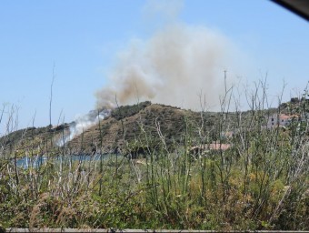El foc va cremar una hectàrea i mitja de matolls i olivers abandonats. JORDI PRAT