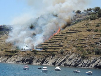 El foc d'aquest diumenge a Cadaqués va ser provocat, suposadament, pel llançament d'un petard EL PUNT AVUI