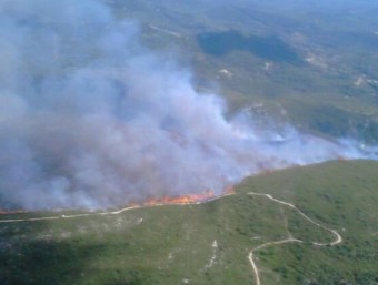 Incendi de vegetació al municipi d'Aiguamúrcia ACN