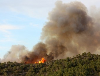 Les flames de l'incendi de Tivissa avançant pel flanc sud dijous a la tarda ACN