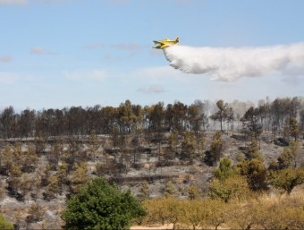 Una avioneta ataca un dels focus del foc de Tivissa, que en menys de 24 hores va cremar una àrea de 150 hectàrees. ACN