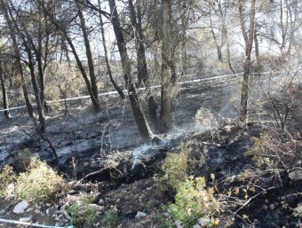 Zona de bosc calcinada en l'incendi al paratge proper al Castell d'Olèrdola S. SABATÉ (ACN)