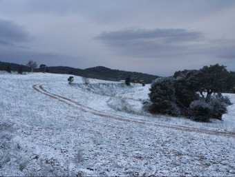 Camps de conreu nevats a l'interior del massís de les Gavarres, al nord de Romanyà de la Selva, ahir a la tarda E.A