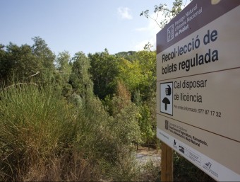 Rètol informatiu als boscos de Poblet advertint de la necessitat de disposar de llicència per collir bolets J.CARLOS LEÓN/ ARXIU