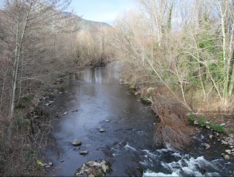 El riu Ter, al seu pas pel municipi d'Anglès. Les condicions de l'aigua del Ter es consideren idònies per a la reproducció i proliferació de truites de riu. EL PUNT AVUI