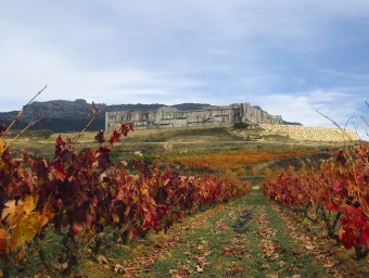 Imatge de La Bastida, celler de Bodegues Torres a La Rioja, un exemple reeixit d'integració paisagística.  ARXIU