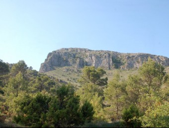Cim del Montcabrer a la Serra de Mariola. B. SILVESTRE