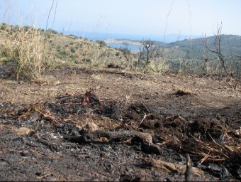 Els efectius dels Bombers i dels Mossos van trobar el cos sense vida de la víctima a la zona de l'ermita de Sant Miquel de Colera Ò.P