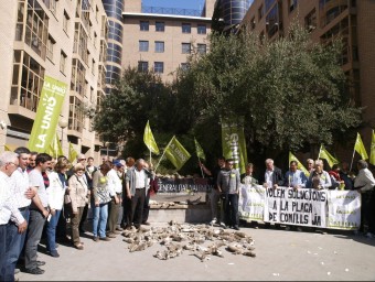 Protesta de la Unió per la plaga de conills salvatges. EL PUNT AVUI