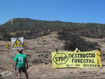 Membres d'Acció Ecologista Agró i ANAV (Asociación Naturalista de Ayora y el Valle) han realitzat l'acció de rpotesta i denúncia. EL PUNT AVUI