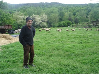 Josep Sunyer feia pasturar les ovelles quan va ser assaltat. TURA SOLER