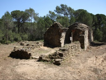 El conjunt arqueològic de Sant Romà de Sidillà té un nou aspecte després de la neteja d'arbrat. JOAN PUNTÍ