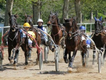 L'Equifira 2014 portarà a Bàscara per primer cop equips de trot muntat que vindran de Mallorca EL PUNT AVUI