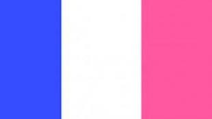 bandera de la republica francesa