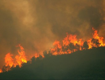 Les flames ja han cremat més de 800 hectàrees ACN