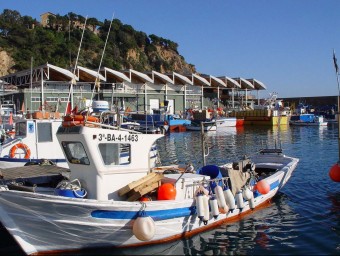Una embarcació pesquera al port de Blanes. La confraria espera començar el Pesca Turisme el mes de juliol. EL PUNT AVUI