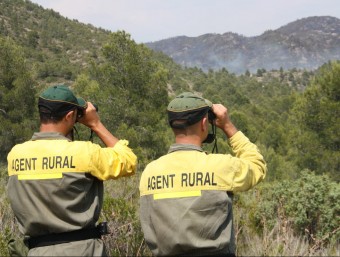 Els agents rurals mirant amb els prismàtics la zona de l'incendi de Tivissa ACN
