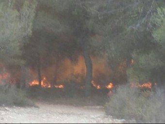 Flames intenses a la zona de la Vallesa durant el darrer incendi. EL PUNT AVUI