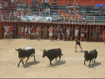 Plaça de bous que s'hi munta a la plaça del Poble de Silla. EL PUNT AVUI