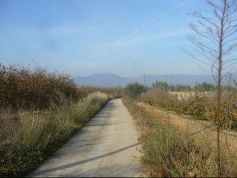 Un dels trams dels senders locals , al camí de Perafita, en direcció al nucli de la Selva. JOAN MARC SALVAT